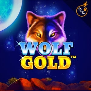 NIne Casino Wolf Gold